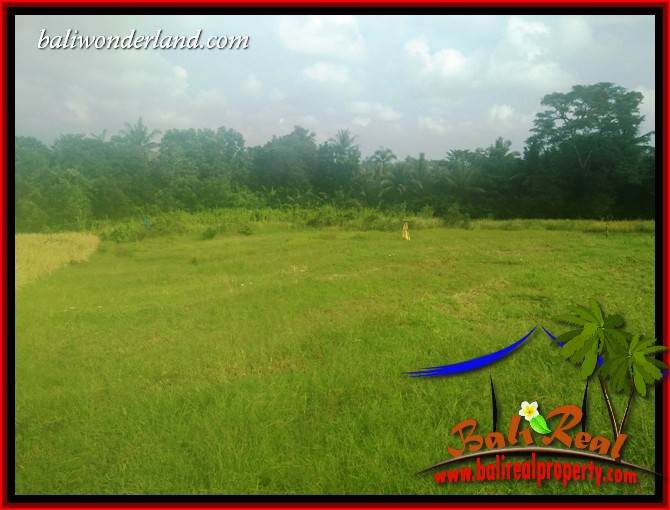 Land sale in Tabanan Kerambitan Bali TJTB407