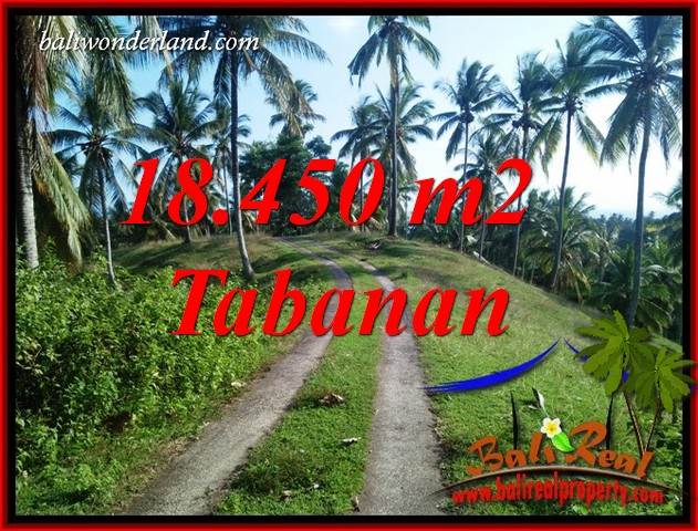 Exotic 18,450 m2 Land sale in Tabanan Bali TJTB410