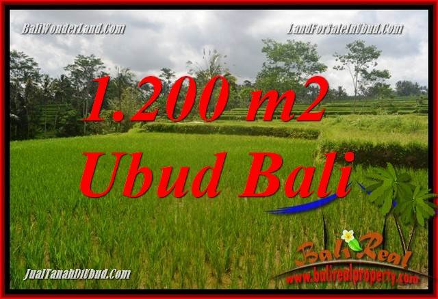 Beautiful Property Ubud Tegalalang Bali 1,200 m2 Land for sale TJUB693