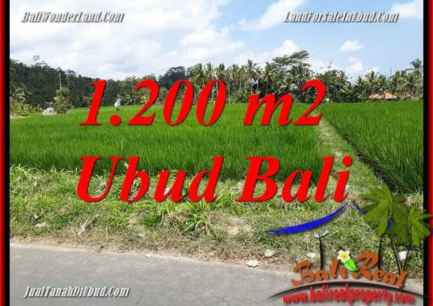 Magnificent Property 1,200 m2 Land in Ubud Tampak Siring Bali for sale TJUB694