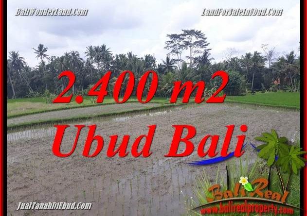 Beautiful Property Land sale in Ubud TJUB697