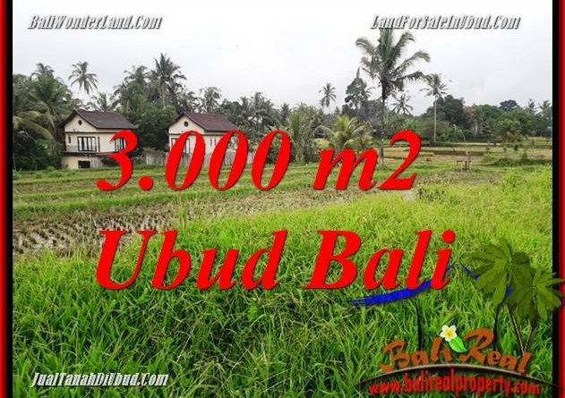Magnificent Property 3,000 m2 Land in Ubud Tegalalang for sale TJUB698