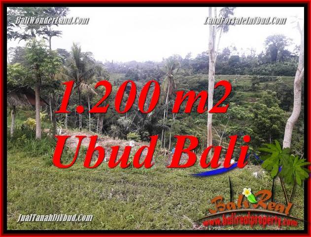 Beautiful 1,200 m2 Land sale in Ubud Bali TJUB699
