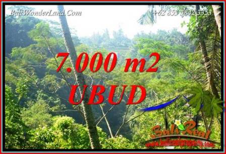 Magnificent 7,000 m2 Land for sale in Ubud Tegalalang TJUB714