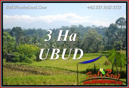 FOR sale Exotic Property 30,000 m2 Land in Ubud Tegalalang Bali TJUB718