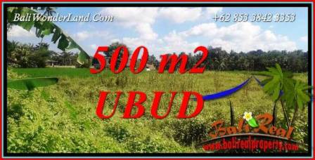 Land for sale in Ubud TJUB724