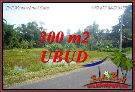 Magnificent Property 300 m2 Land in Sentral Ubud Bali for sale TJUB730