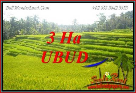 Beautiful 30,000 m2 Land sale in Ubud Bali TJUB733