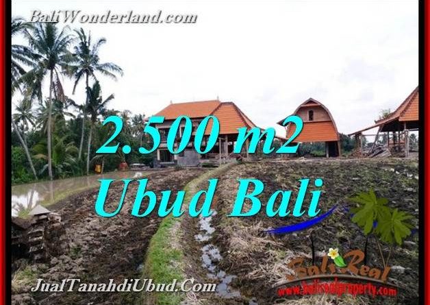Magnificent PROPERTY LAND IN UBUD BALI FOR SALE TJUB772