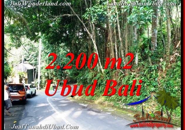 Beautiful PROPERTY SENTRAL UBUD 2,200 m2 LAND FOR SALE TJUB768