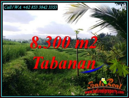Exotic 8,300 m2 LAND FOR SALE IN PENEBEL TABANAN BALI TJTB501