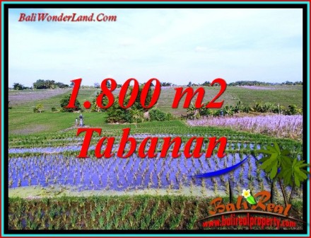 Exotic PROPERTY TABANAN 1,800 m2 LAND FOR SALE TJTB491