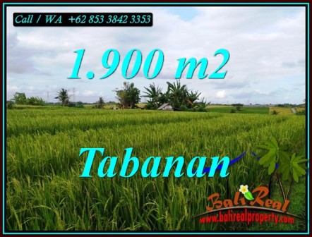 FOR SALE Exotic LAND IN TABANAN BALI TJTB495