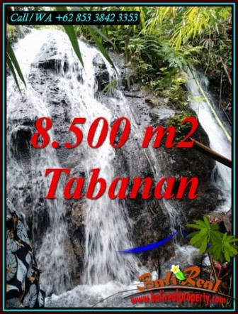 Beautiful PROPERTY 8,500 m2 LAND IN TABANAN FOR SALE TJTB478