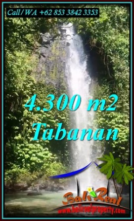 Beautiful 4,300 m2 LAND FOR SALE IN TABANAN TJTB480