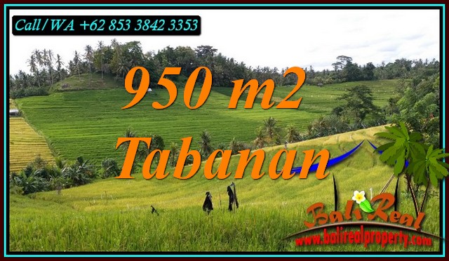 Exotic PROPERTY 950 m2 LAND SALE IN TABANAN TJTB483