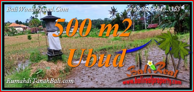 FOR SALE Affordable PROPERTY LAND in Tampaksiring TJUB812