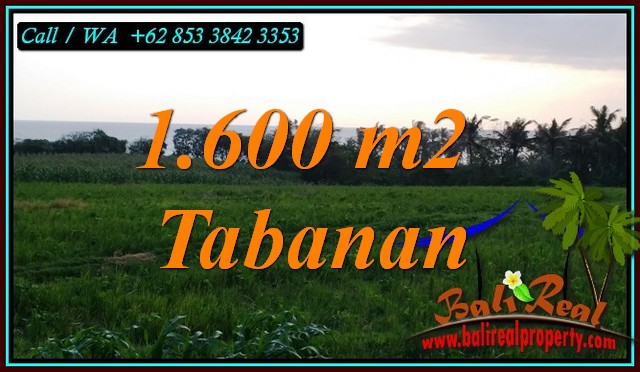 Magnificent SELEMADEG TABANAN LAND FOR SALE TJTB448