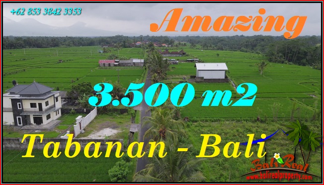 Beautiful PROPERTY TABANAN 3,500 m2 LAND FOR SALE TJTB577