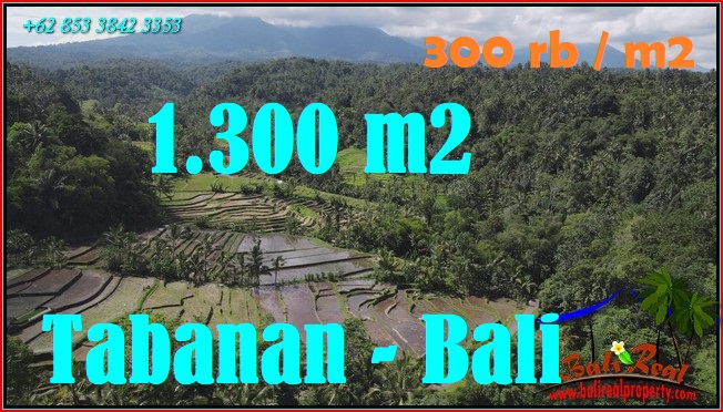 Magnificent LAND SALE IN TABANAN BALI TJTB586
