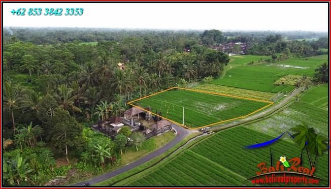 2,300 m2 LAND SALE IN Marga Tabanan TJTB590