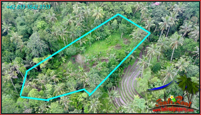 Exotic 2,400 m2 LAND FOR SALE IN Penebel Tabanan BALI TJTB551