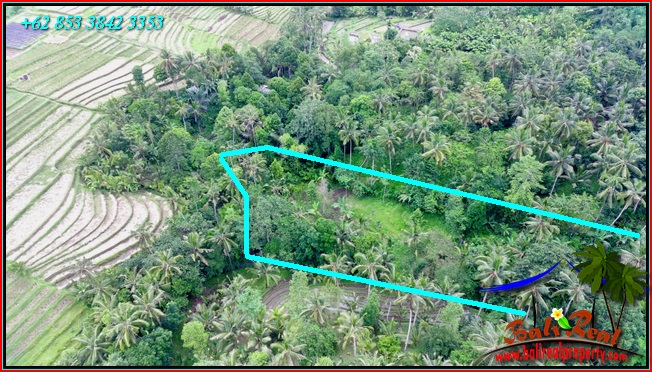 Exotic 2,400 m2 LAND FOR SALE IN Penebel Tabanan BALI TJTB551