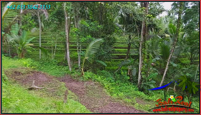 Exotic 2,400 m2 LAND FOR SALE IN Penebel Tabanan BALI TJTB551