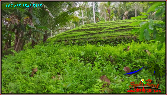 Exotic 2,400 m2 LAND FOR SALE IN Penebel Tabanan BALI TJTB551