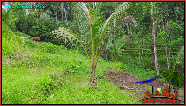 Exotic 2,400 m2 LAND FOR SALE IN Penebel Tabanan BALI TJTB551