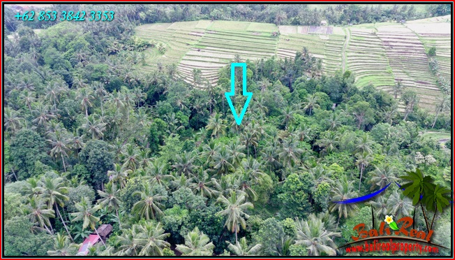 Exotic 2,400 m2 LAND FOR SALE IN Penebel Tabanan BALI TJTB551