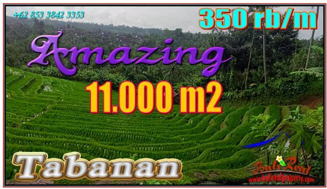 Magnificent PROPERTY LAND SALE IN Pupuan Tabanan TJTB556