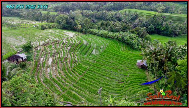 FOR SALE Beautiful PROPERTY LAND IN Pupuan Tabanan TJTB556