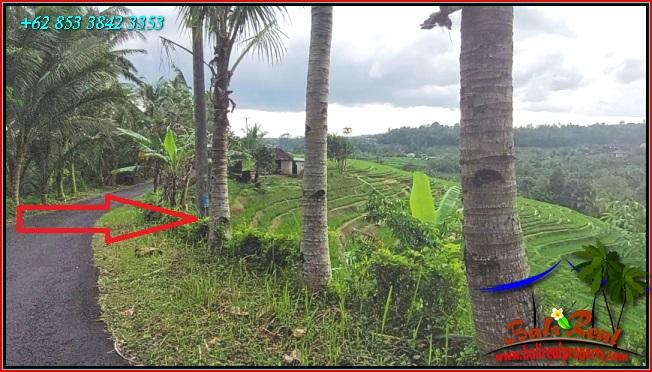 FOR SALE Beautiful PROPERTY LAND IN Pupuan Tabanan TJTB556