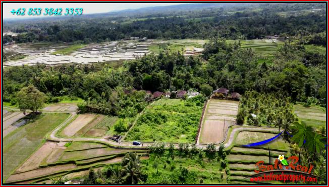Cheap property LAND FOR SALE IN Penebel Tabanan  TJTB557