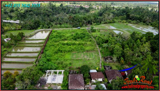 Cheap property LAND FOR SALE IN Penebel Tabanan  TJTB557