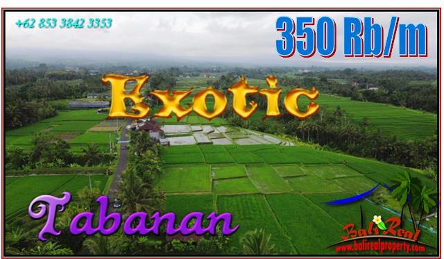 Exotic LAND IN TABANAN BALI FOR SALE TJTB563
