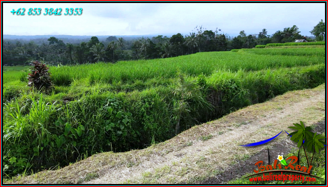 Beautiful LAND SALE IN TABANAN BALI TJTB564