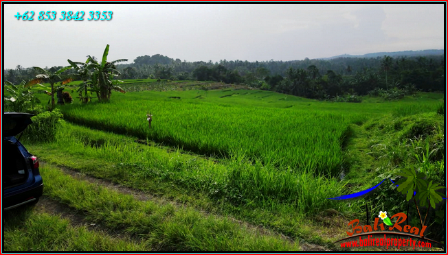 Beautiful LAND SALE IN TABANAN BALI TJTB564