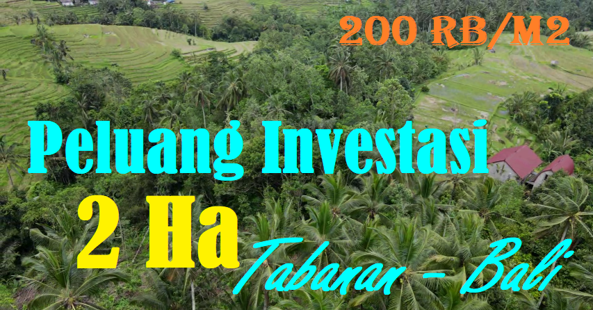 Exotic 20,000 m2 LAND IN Penebel Tabanan BALI FOR SALE TJTB566