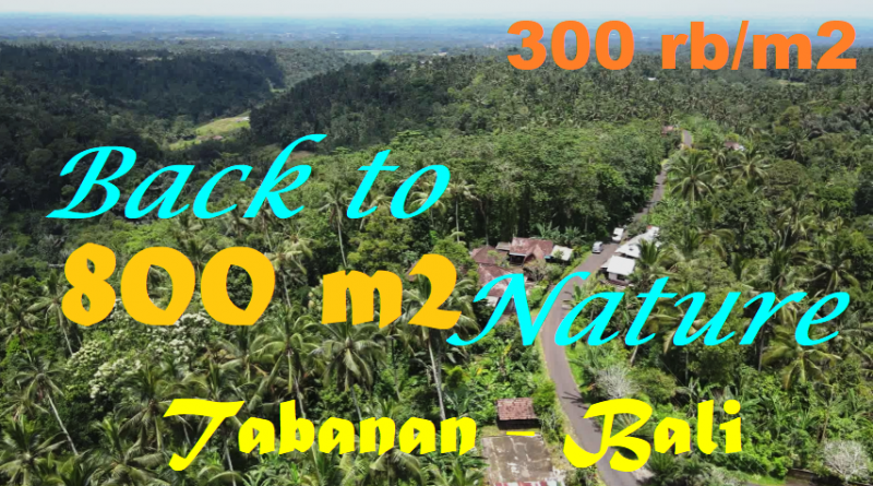 Magnificent 800 m2 LAND FOR SALE IN TABANAN TJTB568