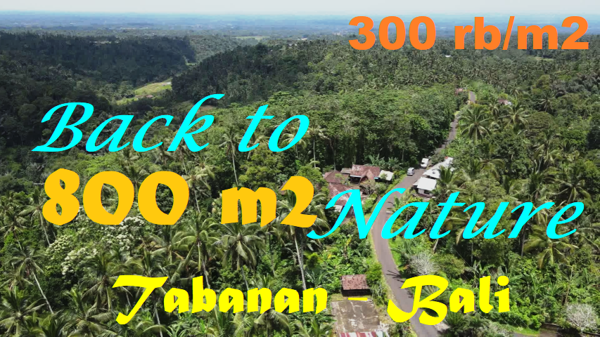 Magnificent 800 m2 LAND FOR SALE IN TABANAN TJTB568