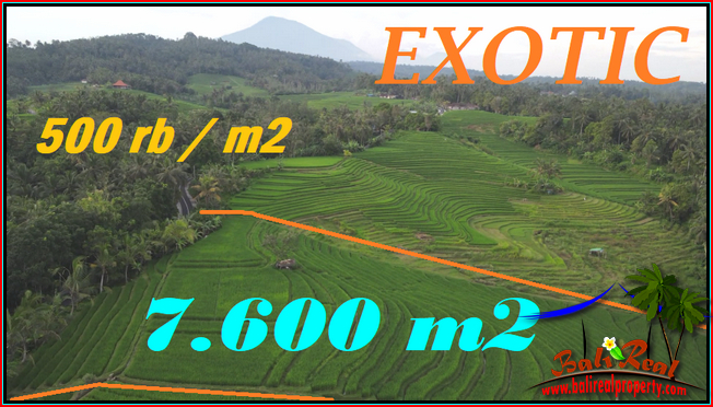 Magnificent LAND FOR SALE IN Selemadeg Timur Tabanan TJTB570