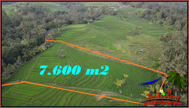 Magnificent LAND FOR SALE IN Selemadeg Timur Tabanan TJTB570