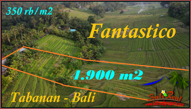 4,900 m2 LAND SALE IN Selemadeg Timur Tabanan TJTB571