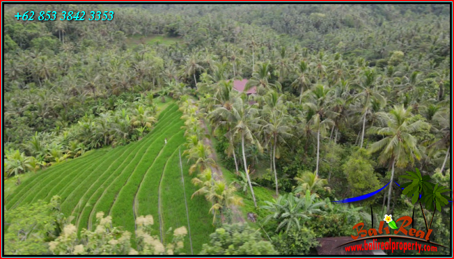 Magnificent PROPERTY 5,900 m2 LAND SALE IN TABANAN TJTB572