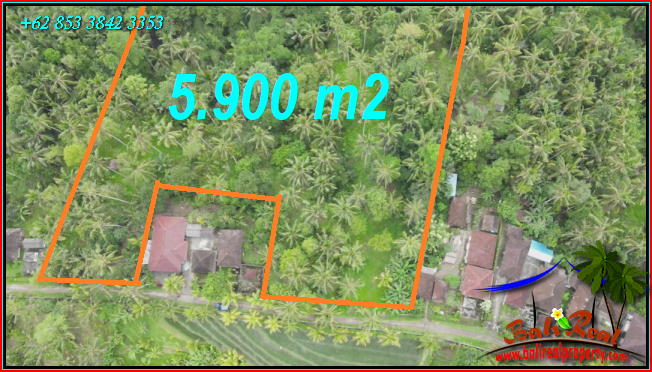 Magnificent PROPERTY 5,900 m2 LAND SALE IN TABANAN TJTB572