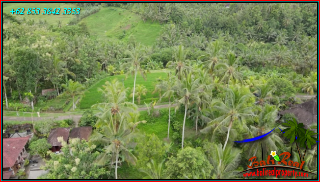 Magnificent PROPERTY 5,900 m2 LAND SALE IN TABANAN TJTB572