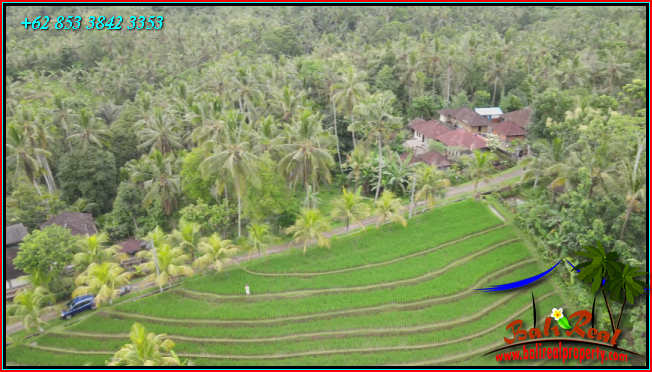 Magnificent PROPERTY 5,900 m2 LAND SALE IN TABANAN TJTB572