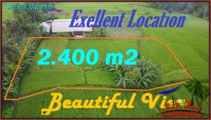 FOR SALE Affordable PROPERTY 2,400 m2 LAND IN Tabanan BALI TJTB574